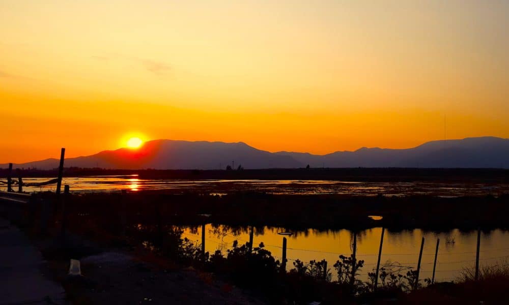 Quilicura, el polo chileno de los centros de datos que lucha por mantener vivo su humedal