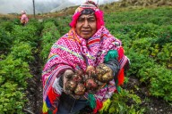 Perú: sector agropecuario creció 12.1% en setiembre 2025 impulsado por subsector agrícola