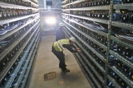 AI data centers spur anger across the political spectrum