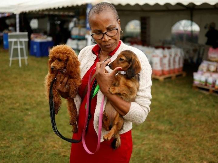 Paws on parade: Nairobi's dogs dazzle at 'Pawchella'