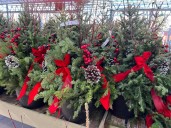 Here’s how to create your own colorful winter containers