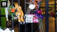 Man found not criminally responsible for murder of Ray McCormack in Wollongong