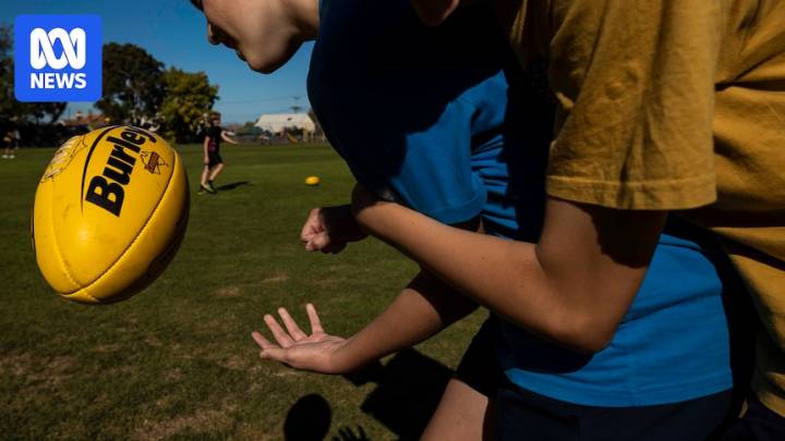 Perth Football League's suspension of Osborne Park FC a 'line in the sand' moment, says league boss
