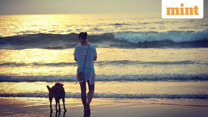 German vlogger shocked to find ‘cleanest’ place in India