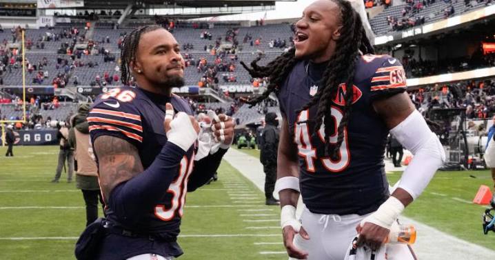 Bears place linebacker Edmunds, running back Johnson on injured reserve