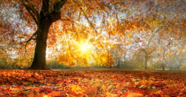 UK weather maps show exact date brutal cold snap ends with heat surge 