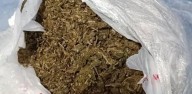 Justo Daract: secuestran marihuana valuada en más de 7 millones de pesos hallada en una vivienda