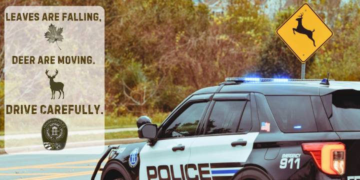 Franklin Police reports increase in deer strikes, offers tips to drivers