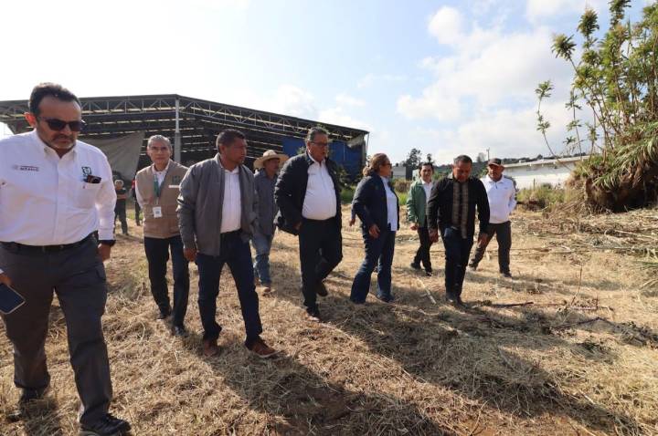 IMSS invertirá más de 40 mdp para construir una UMF en San Juan Nuevo Parangaricutiro