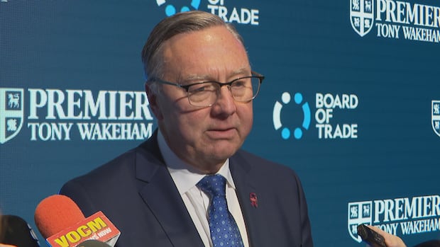 After ‘poring over’ documents, Wakeham says N.L. deficit likely higher than previously reported by Liberals