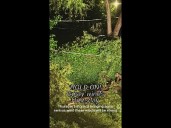 Hold On! | Gusty winds expected Thursday