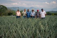 Gobernación de Casanare fortalece los procesos productivos en Tauramena