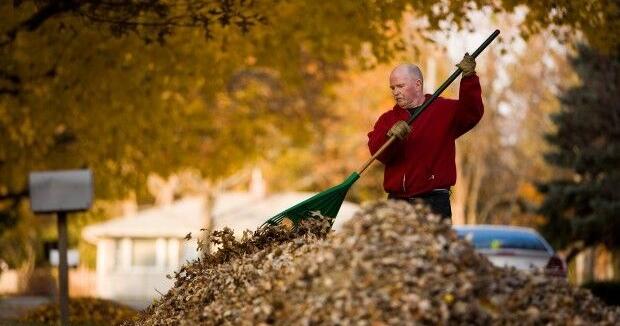 Safety Check: Tips on staying safe while raking leaves