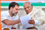 Bihar election results fallout: Rahul meets Kharge as Congress reviews poll rout, leaders blame 'vote chori' and...