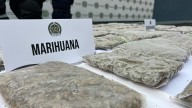 Ocultos bajo tierra: cae red que movía marihuana en camiones de reciclaje para abastecer discotecas en el sur de Bogotá