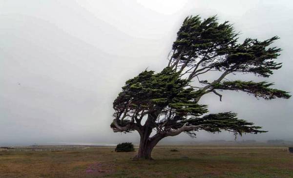 Alerta naranja por fuertes vientos para la mañana de este lunes en Chubut