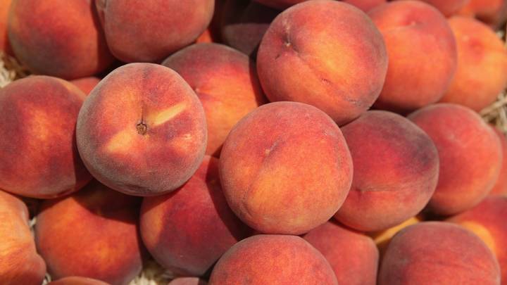 Peaches sold nationwide at Kroger, Trader Joe's, Costco recalled for possible listeria risk
