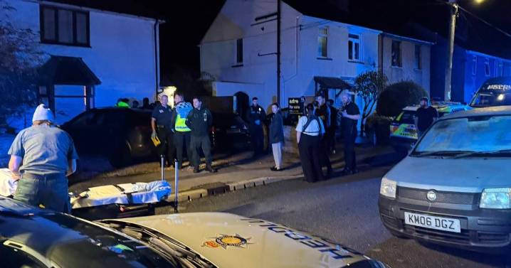 Nine-month-old baby dies in dog attack at home