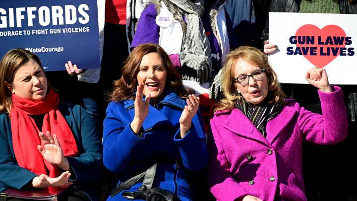 Whitmer-created task force recommends ban on assault weapons