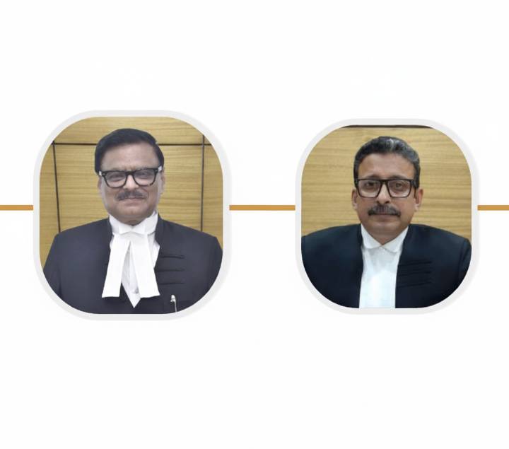 ‘Criminal records missing, government has no idea’: Gauhati High Court takes suo motu notice