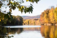 Letters to the editor: November 5, 2025 (Vive la Résistance, SNAP, yabba flabba boo time and more)