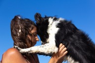 Vet Reveals the Top 5 Emotionally Intelligent Dog Breeds