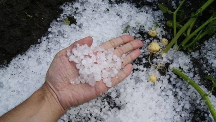 Alerta meteorológica por una posible tormenta de granizo en varios sectores del país