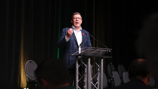 Moe takes blame for Sask. Party losses in cities ahead of leadership vote