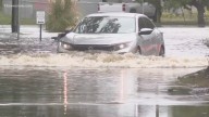 Norfolk, Virginia Beach urge state support for flood relief