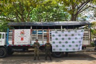 Incautaron ganado en El Dorado, Meta 