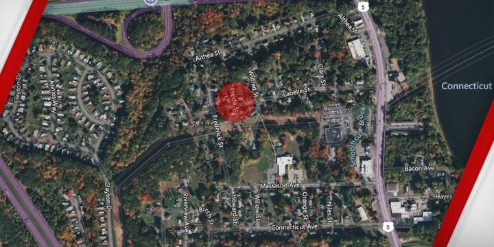 Crews work to remove downed tree on Labelle Street