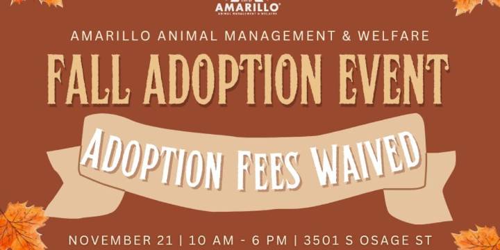 AAMW waiving adoption fees on Friday