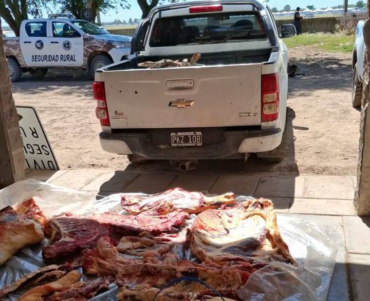 La Policía desarticula faena clandestina de ganado en un campo de Luan Toro