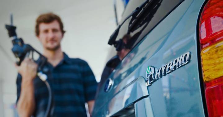 Mientras los autos de gasolina se reemplazan cada 12 años y los eléctricos cada menos de cuatro, los híbridos duran unos ocho y su venta aumentó en México