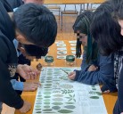 Profesores y escolares toman conciencia sobre importancia de proteger y conservar la especie ruil