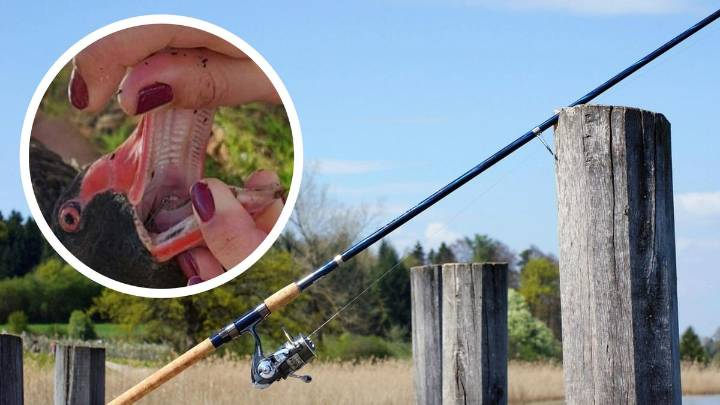 Stirling mayor Mark Irwin labels council debate over proposed fishing ban a ‘complete mess’