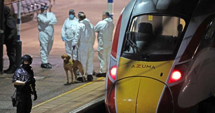 What we know about Huntingdon train stabbing as hero fights for life