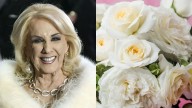 Las flores favoritas de Mirtha Legrand que podes tener en casa: cuáles son y cómo cuidarlas