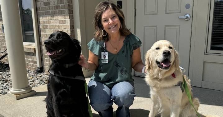 Five questions for Denise Andorfer, director of the Parkview Health Foundation