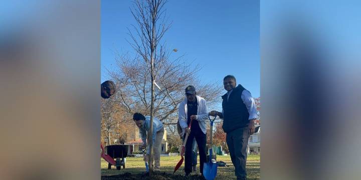 Mayor Avula and volunteers plant over 40 trees for Richmond Tree Week