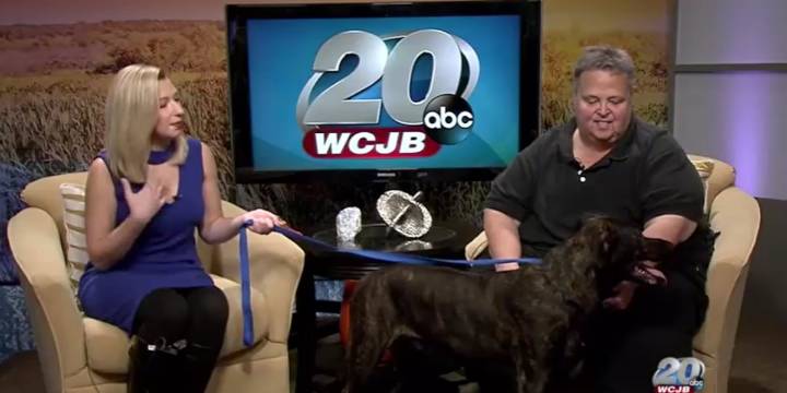 Longtime Alachua County animal advocate Hillary Hynes dies