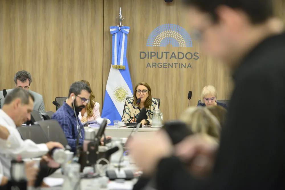 Comisión de Fentanilo: otra vez faltó el ministro Lugones y ahora fue citado “bajo apercibimiento”