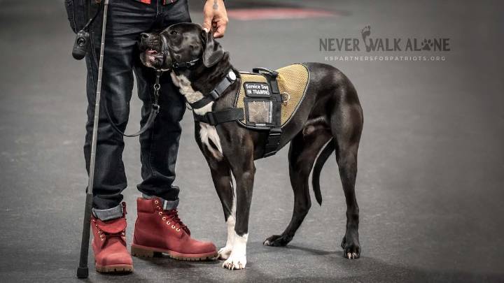 On this Veterans Day, it’s time to take action