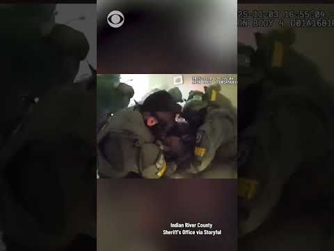 Man hiding from police in Florida crashes through ceiling into custody of SWAT team #shorts