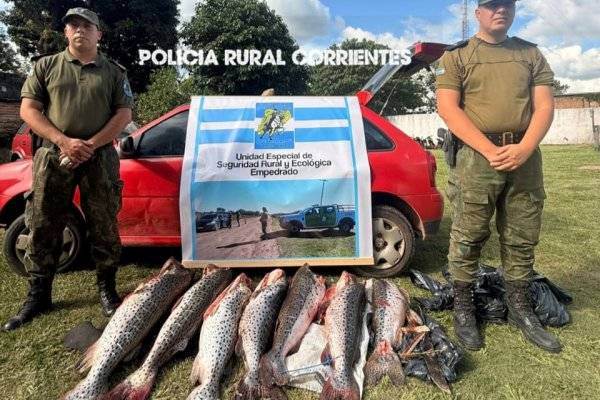 DETENIDOS! Secuestran un auto lleno de surubíes de Empedrado