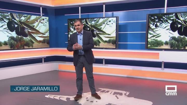 El campo - 17/11/2025