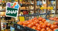 SNAP no se detiene: los estados que activaron fondos locales para asegurar la ayuda alimentaria