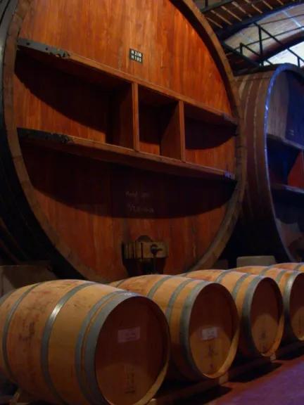 El Gobierno Nacional moderniza y simplifica la regulación de la industria vitivinícola