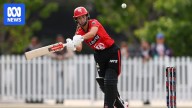 Renegades down Stars by four wickets as Devine sends down stunner in Scorchers win