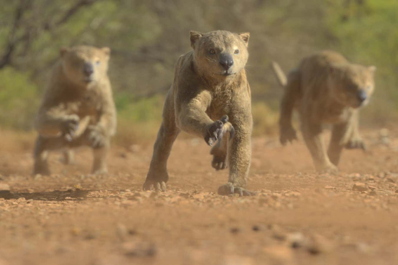 Extinct animals in Prehistoric Planet: Ice Age make it a must